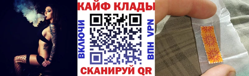 Виды наркотиков купить Мончегорск A PVP  Меф мяу мяу  Гашиш  АМФЕТАМИН  Псилоцибиновые грибы  Конопля 