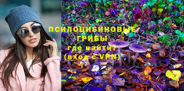 МДПВ Красноперекопск