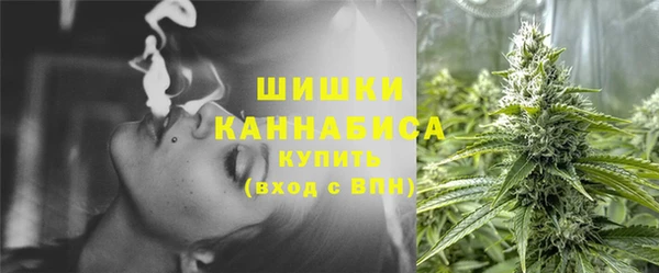 молекула духа Краснослободск