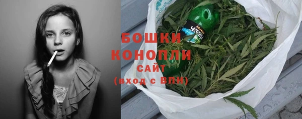 молекула духа Краснослободск