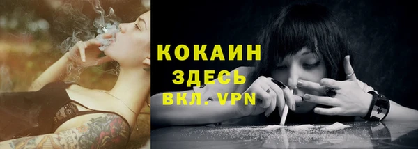 прущие грибы Корсаков