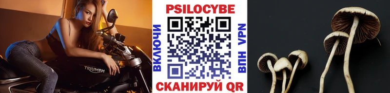 Галлюциногенные грибы мицелий  Мончегорск 