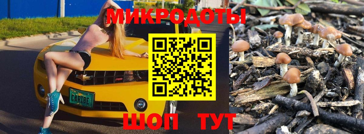Галлюциногенные грибы мухоморы Мончегорск