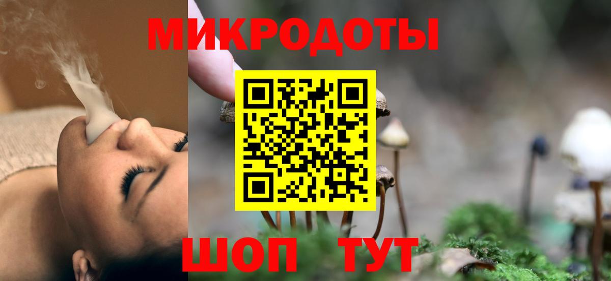 Галлюциногенные грибы Psilocybine cubensis  Вход с VPN  Мончегорск  Псилоцибиновые грибы прущие грибы 