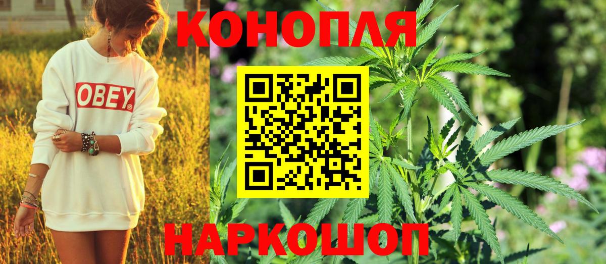 Марихуана OG Kush Мончегорск